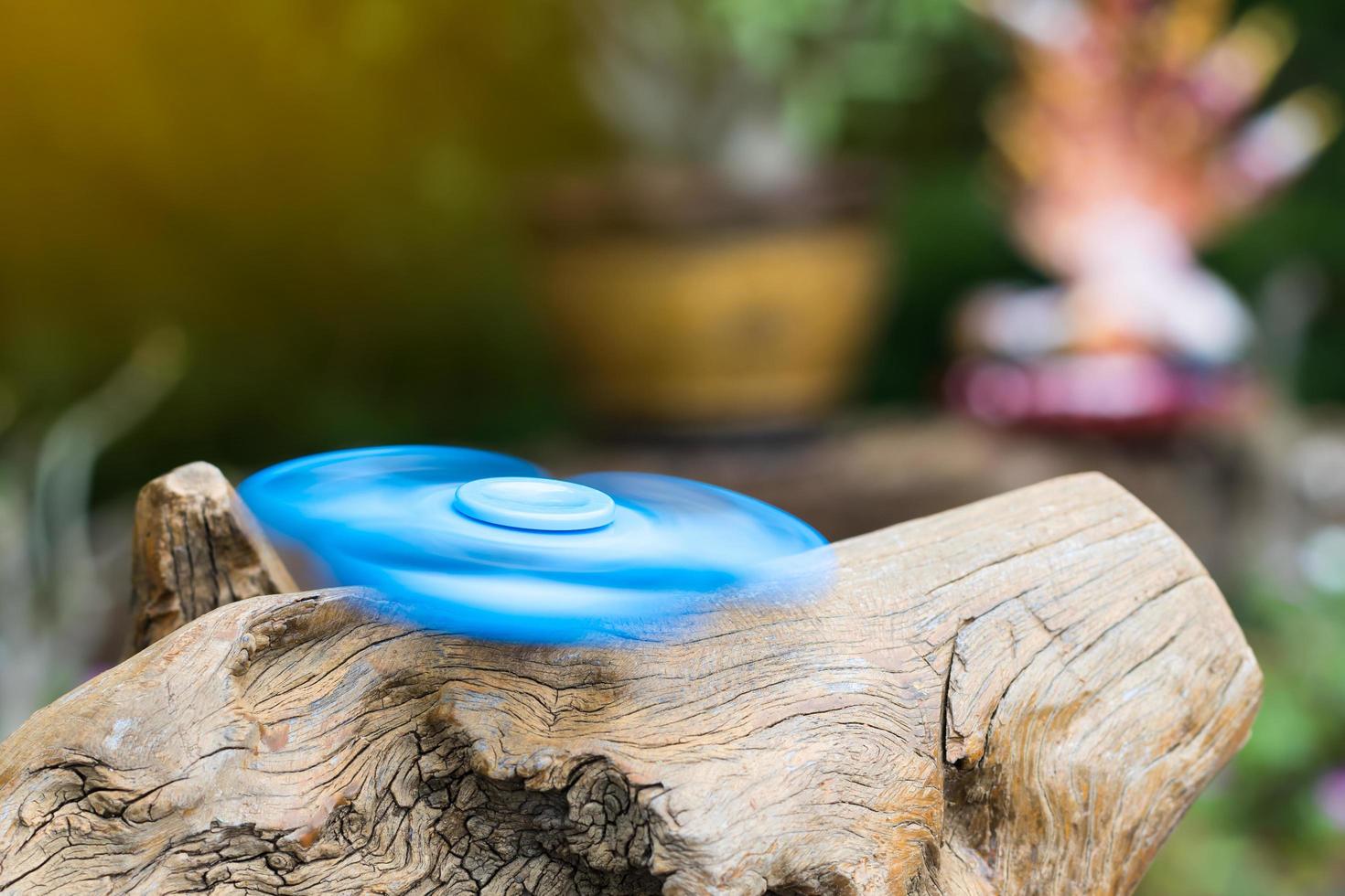 Blue spinner hand on stump. photo
