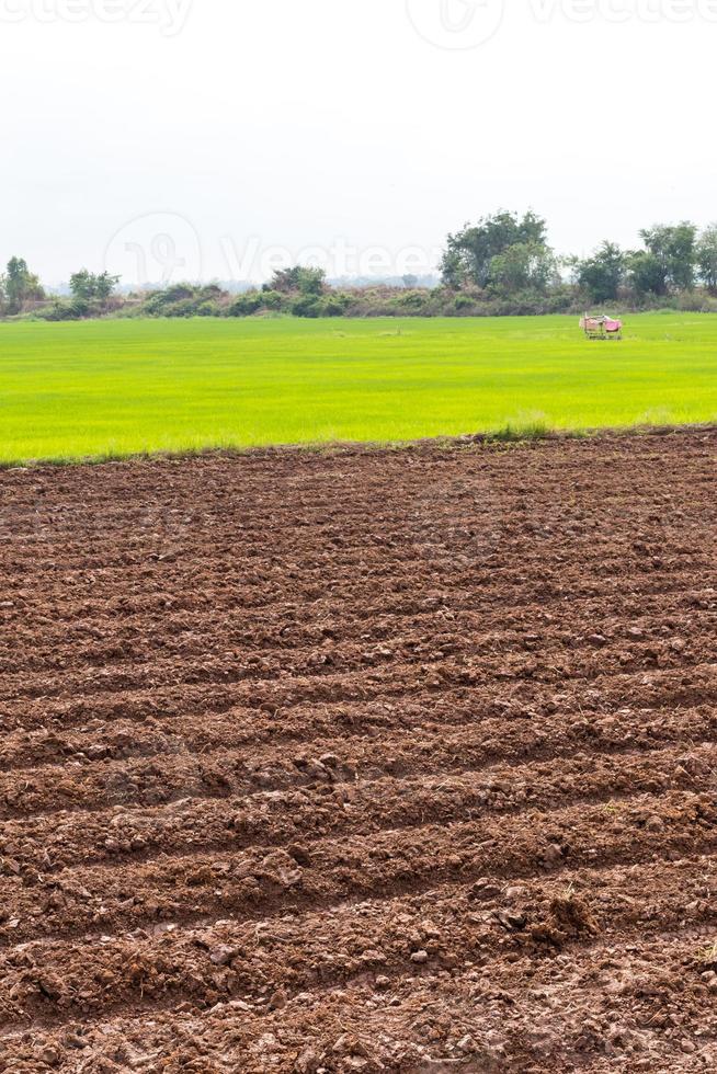 preparar el cultivo de labranza del suelo. foto