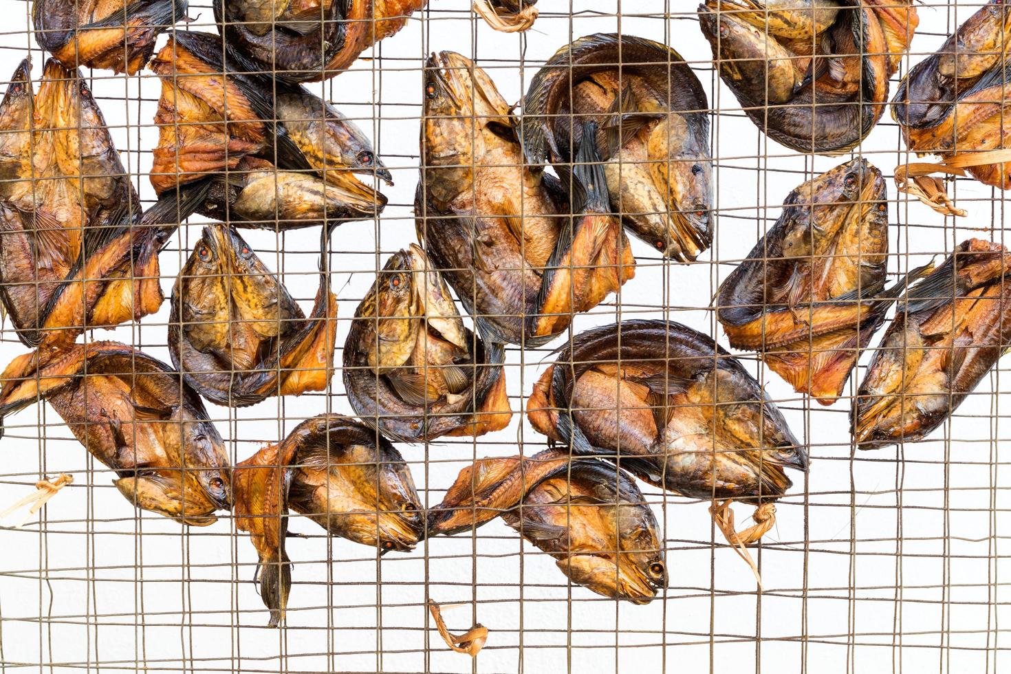 Freshwater fish in wire mesh for drying. photo