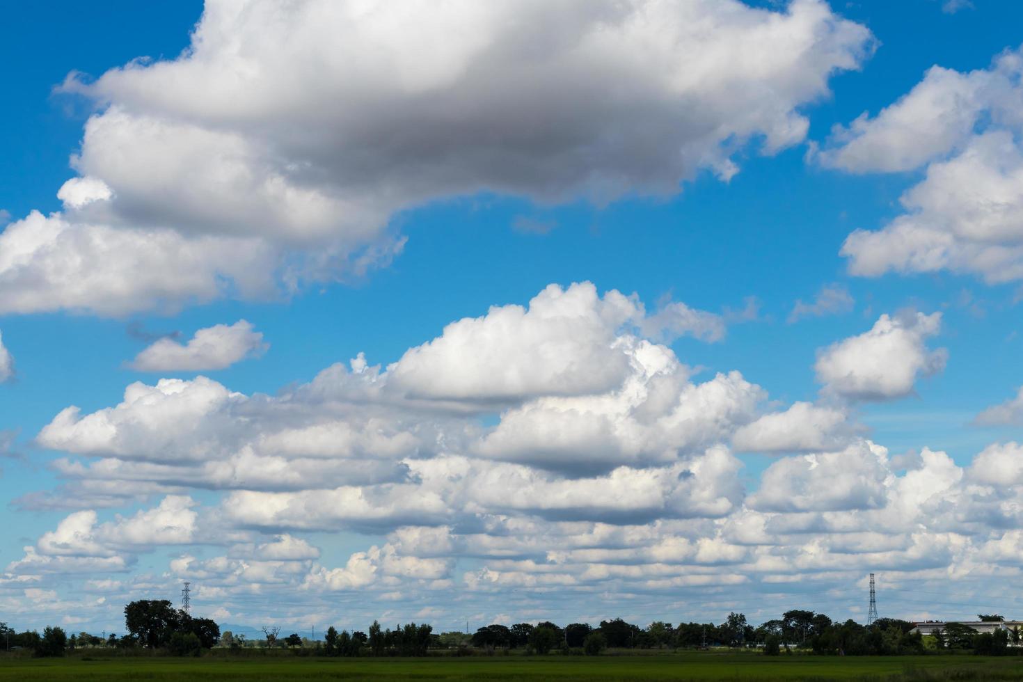 el cielo se nubla sobre la planta del campo tailandés. foto