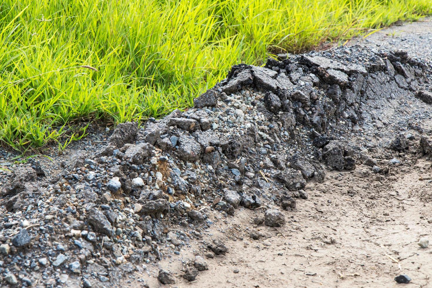 Asphalt break crack grass. photo