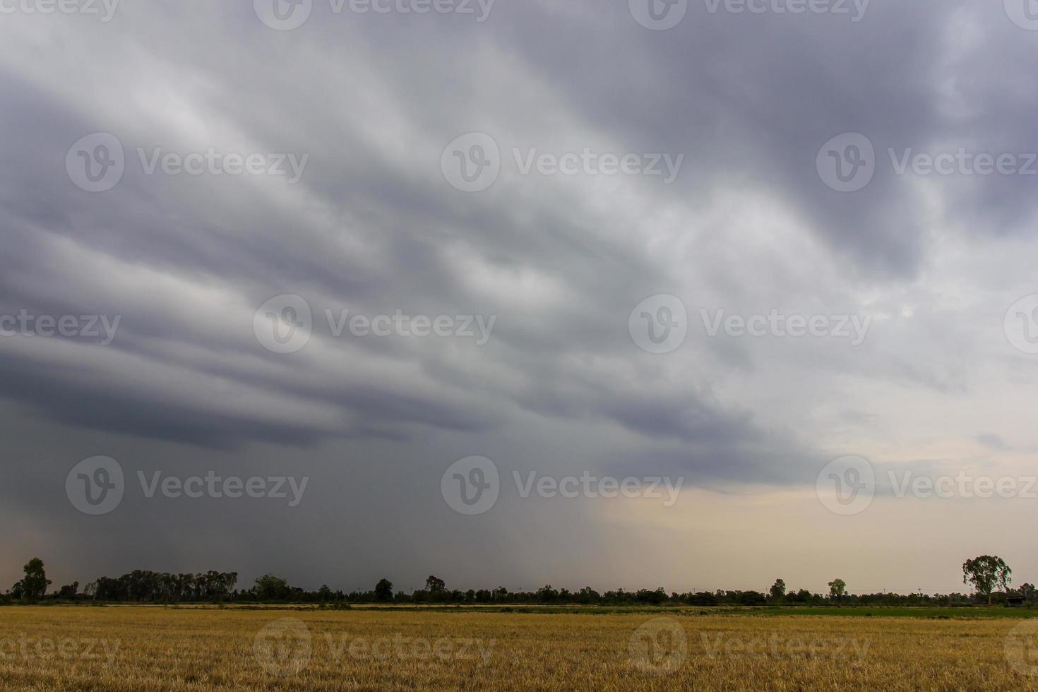 cielo nublado sobre arroz. foto