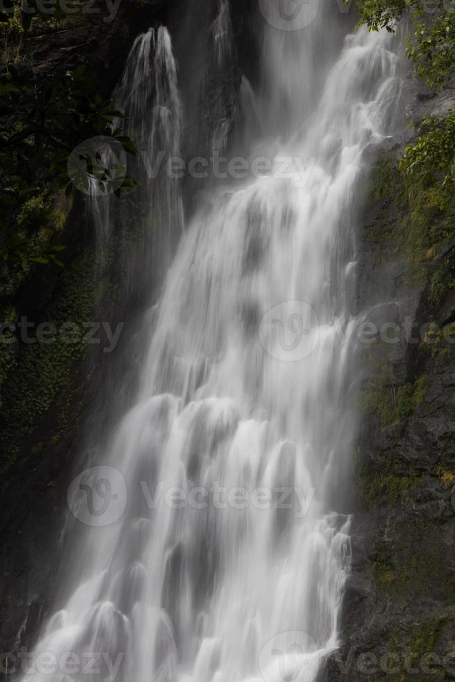 cerca de las rocas de la cascada. foto