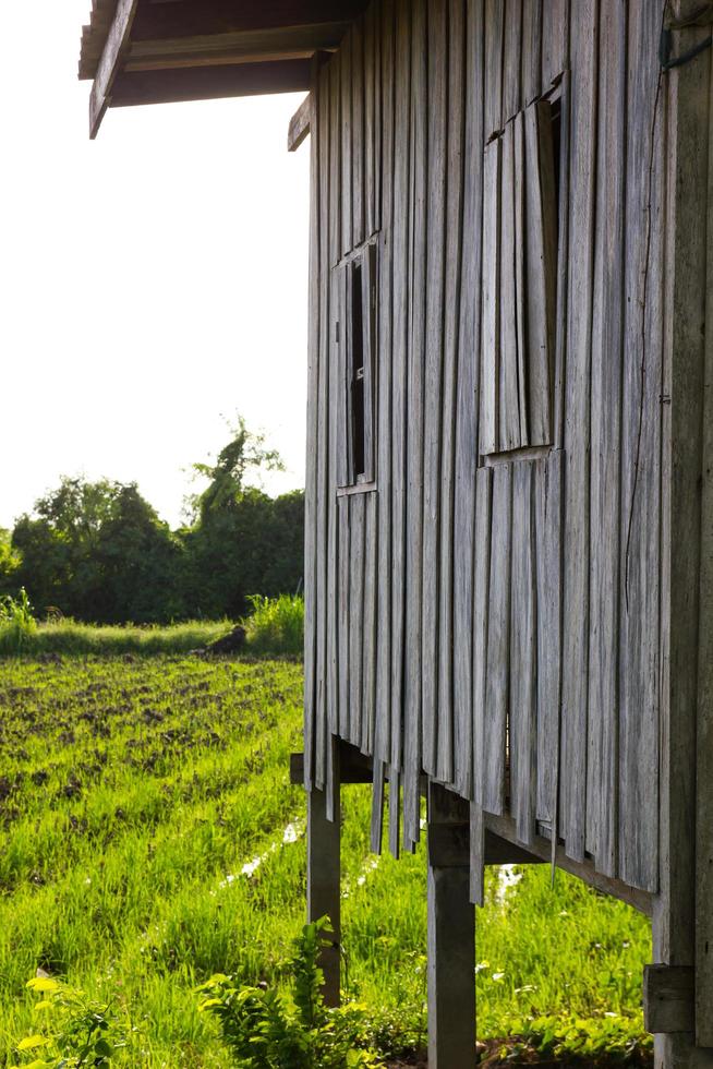 Close beside an old wooden house. photo