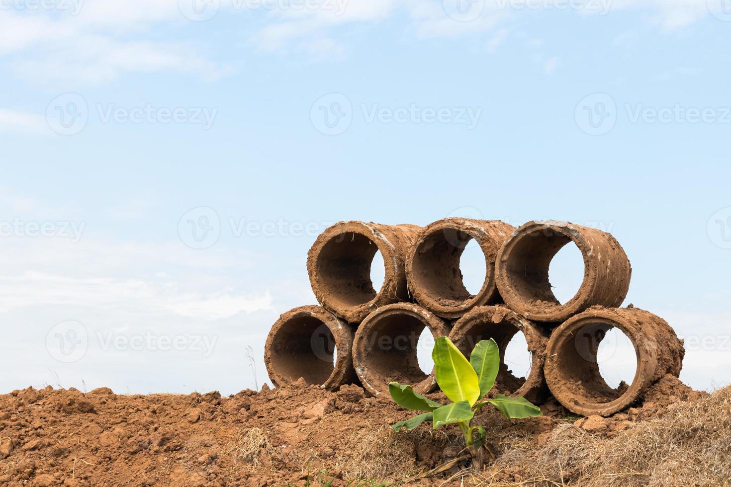 Concrete pipe with banana. photo