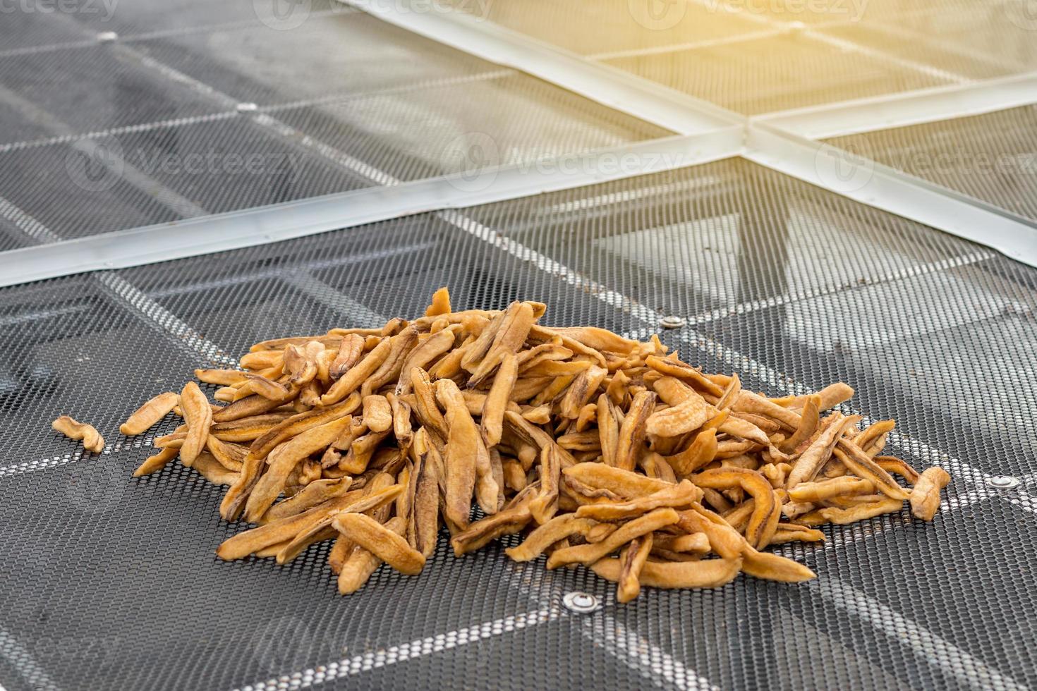 Close-up of dried banana in Greenhouse Solar dryer. photo