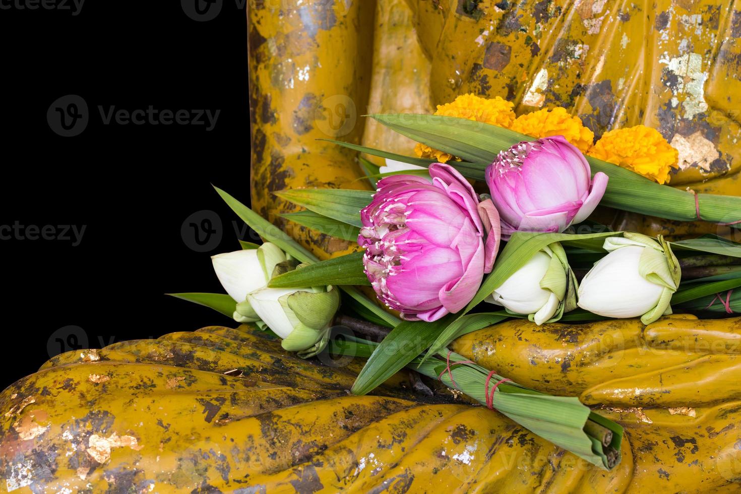 Bouquet of lotus on Buddhist hand. photo