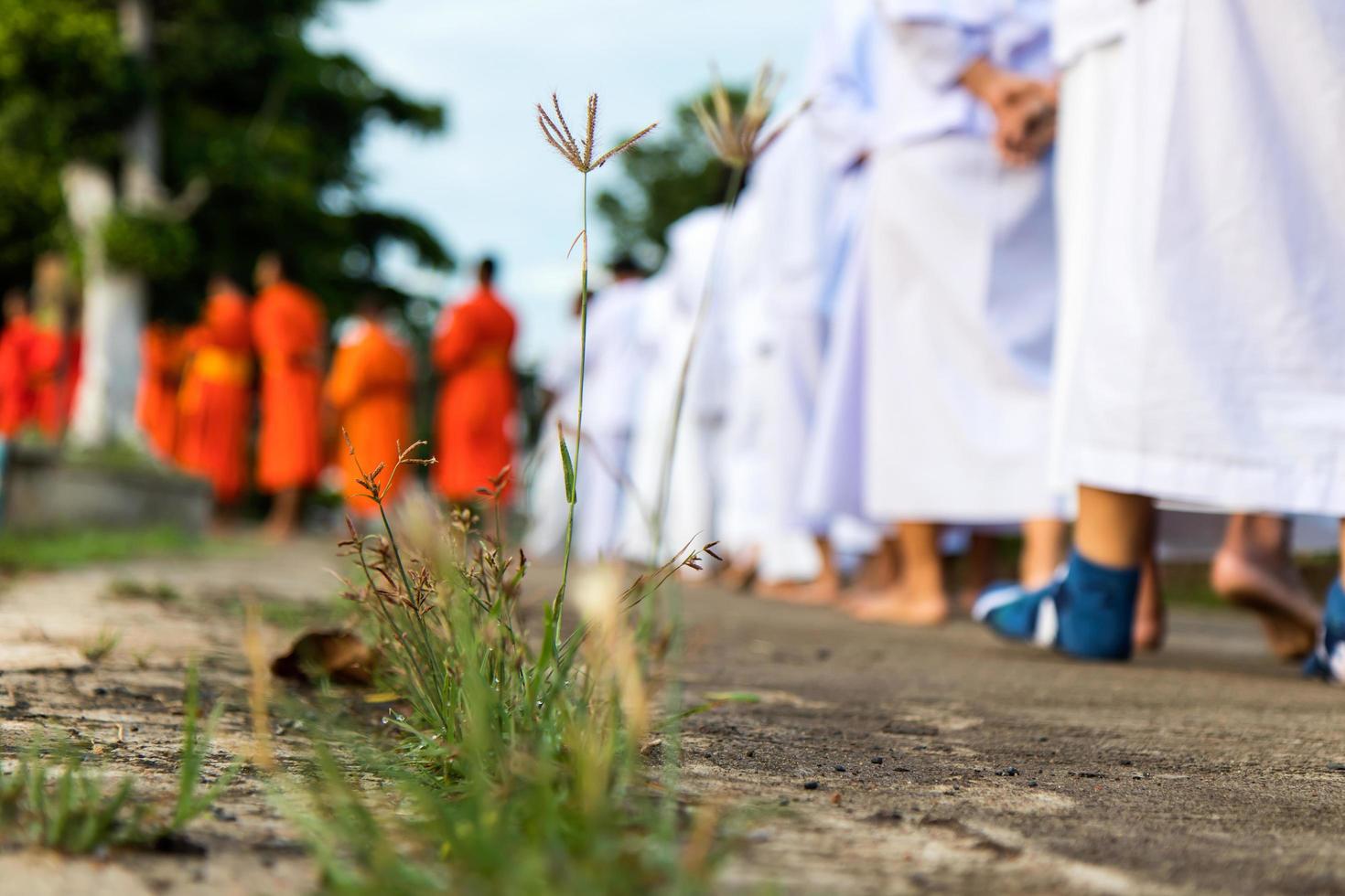 Legs and feet walking meditation. photo