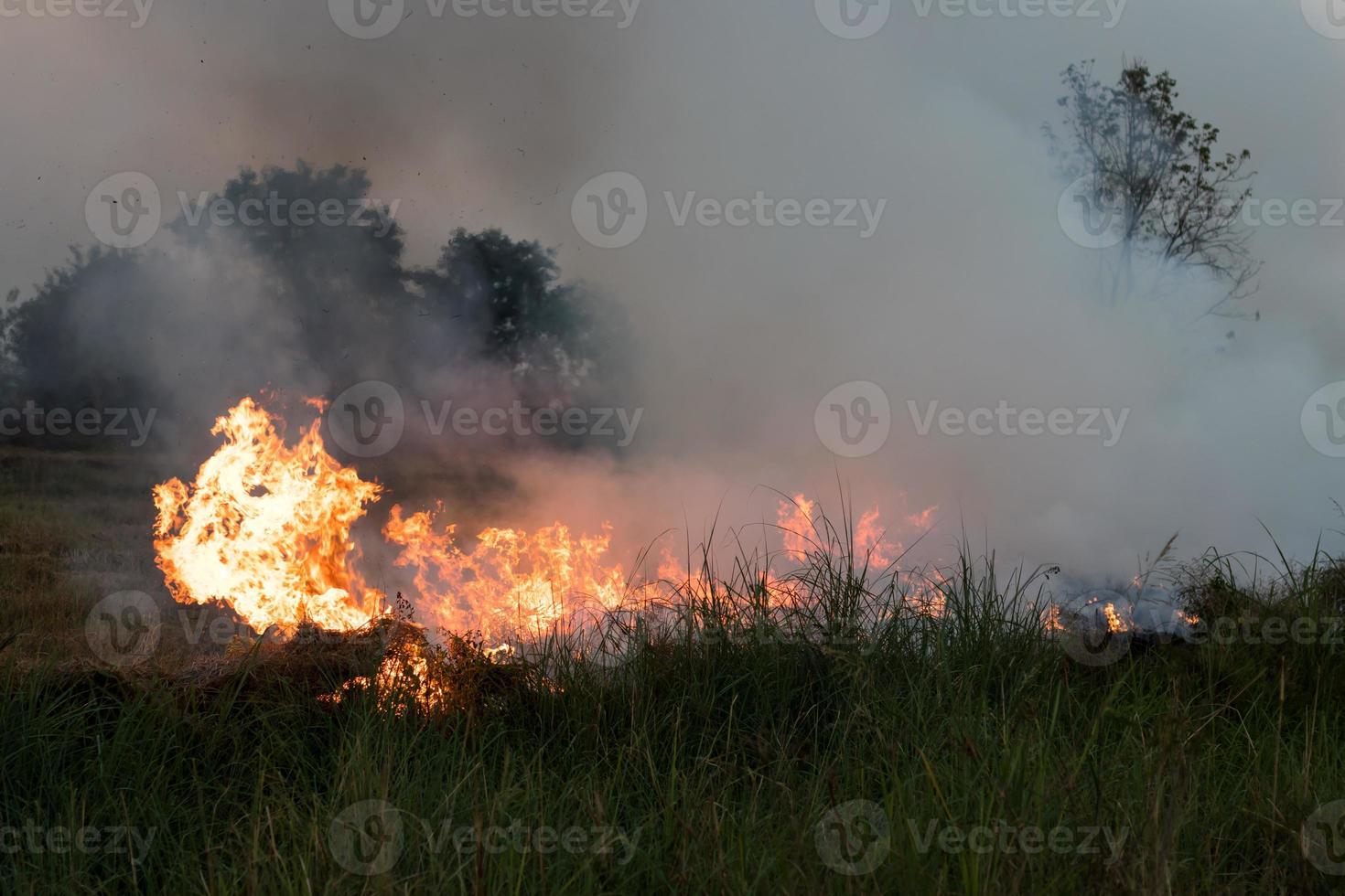 Flames on a grass mound. photo