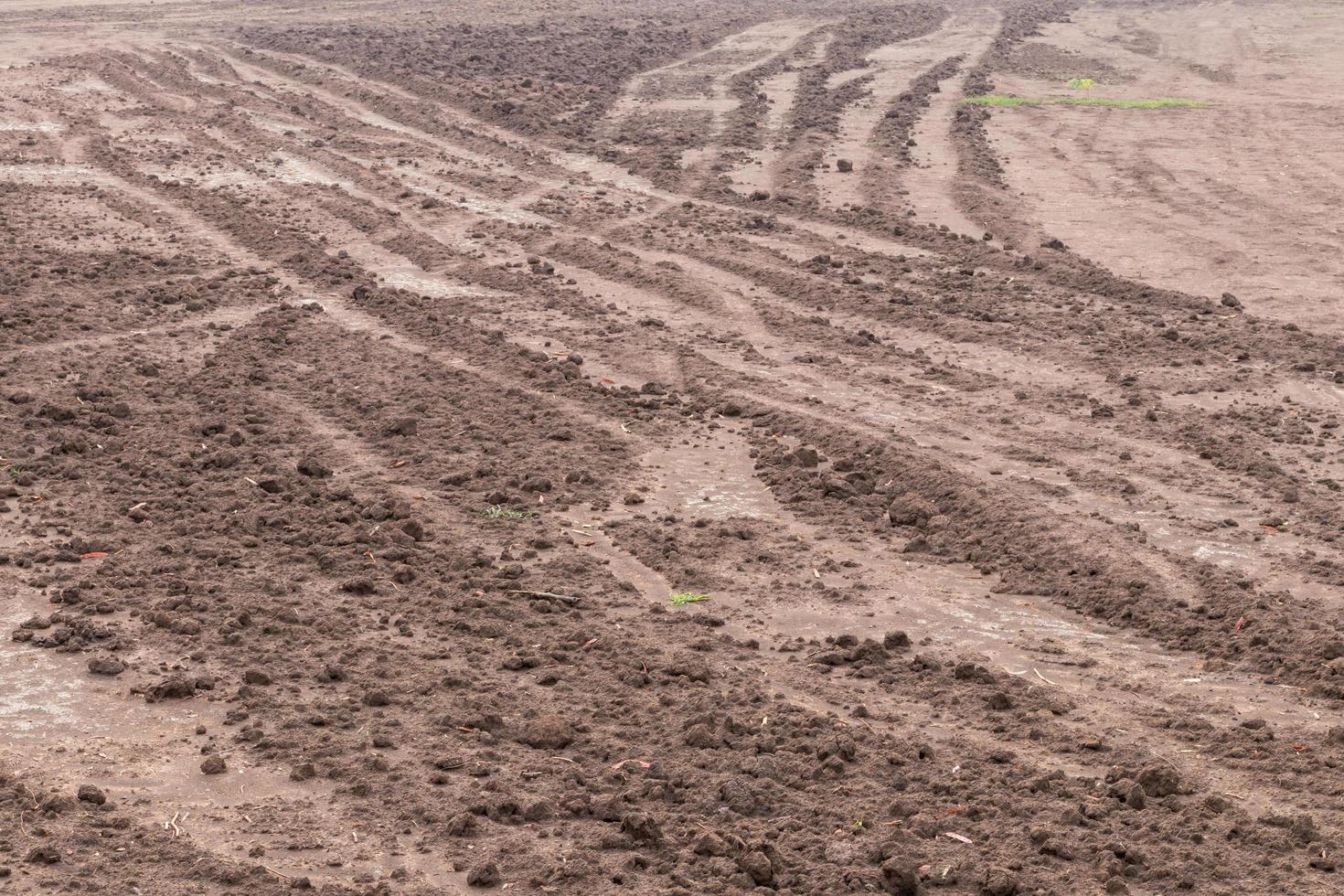 Trails on wet soil. photo