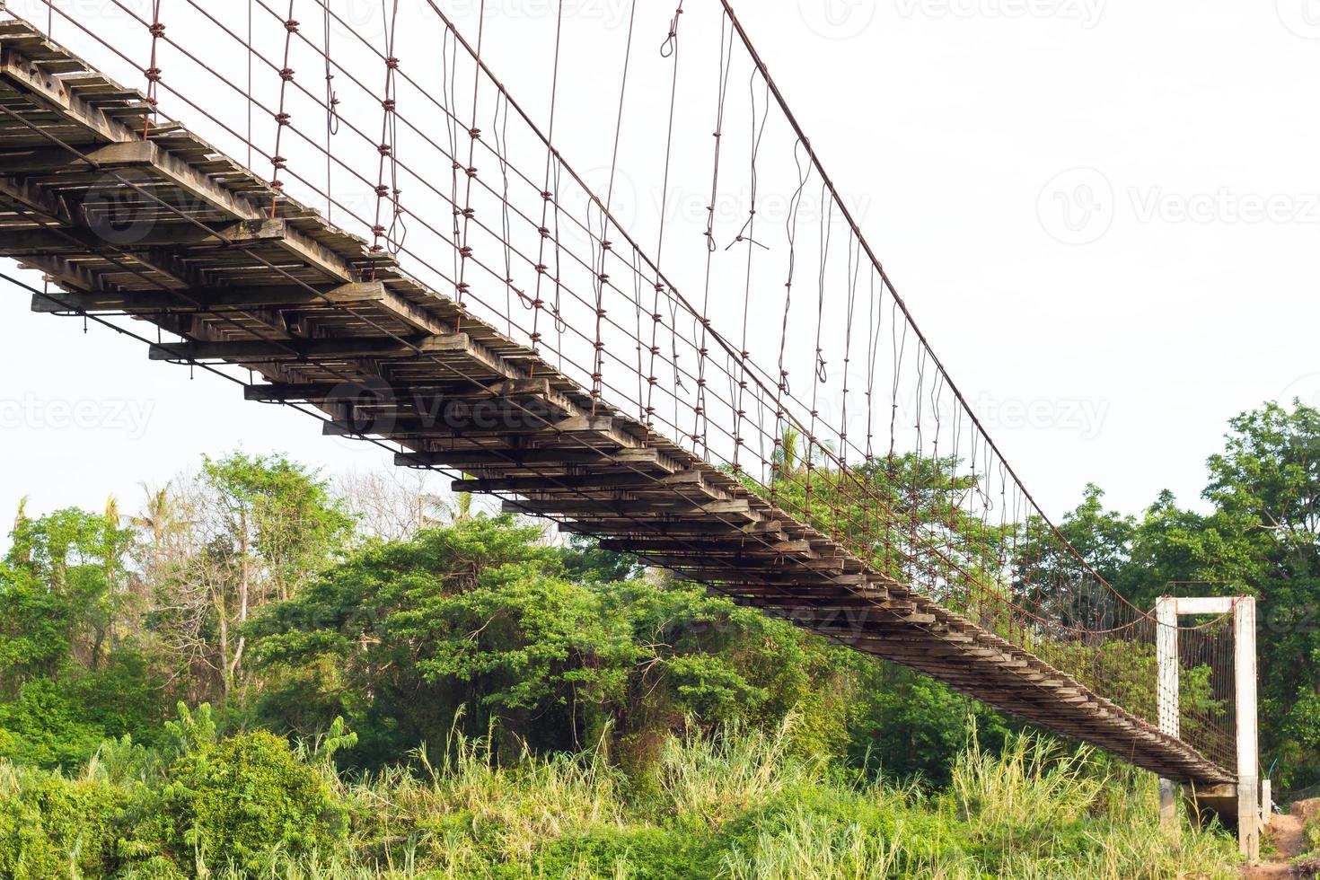 Under the suspension bridge with trees. photo