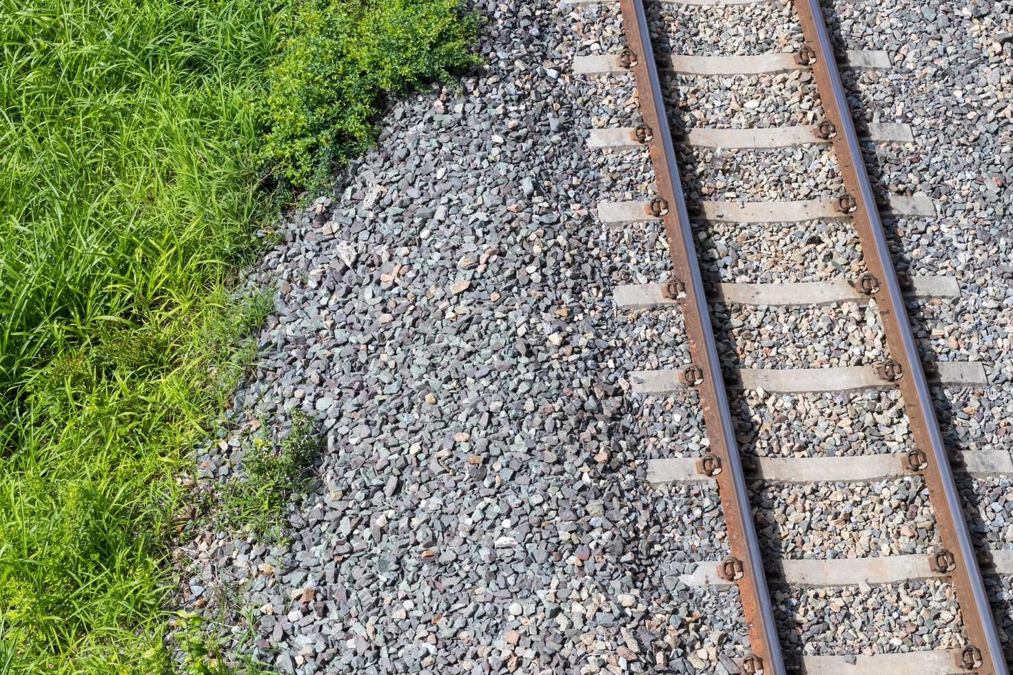Above a railroad in a rock with grass. photo