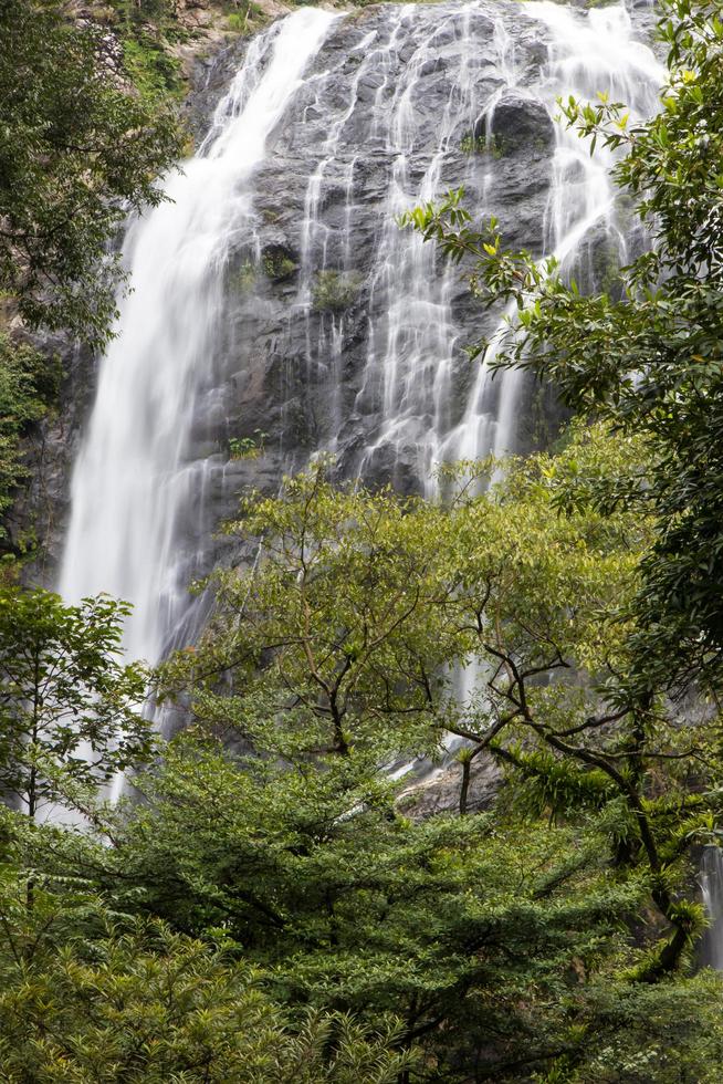 Waterfall near trees. photo