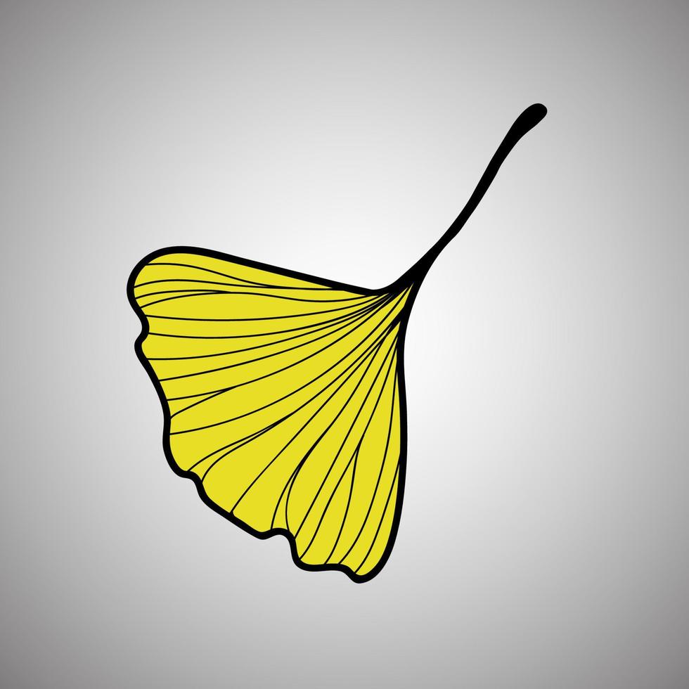 ilustración vectorial de la hoja de ginkgo biloba. diseño de arte de línea de tinta vector