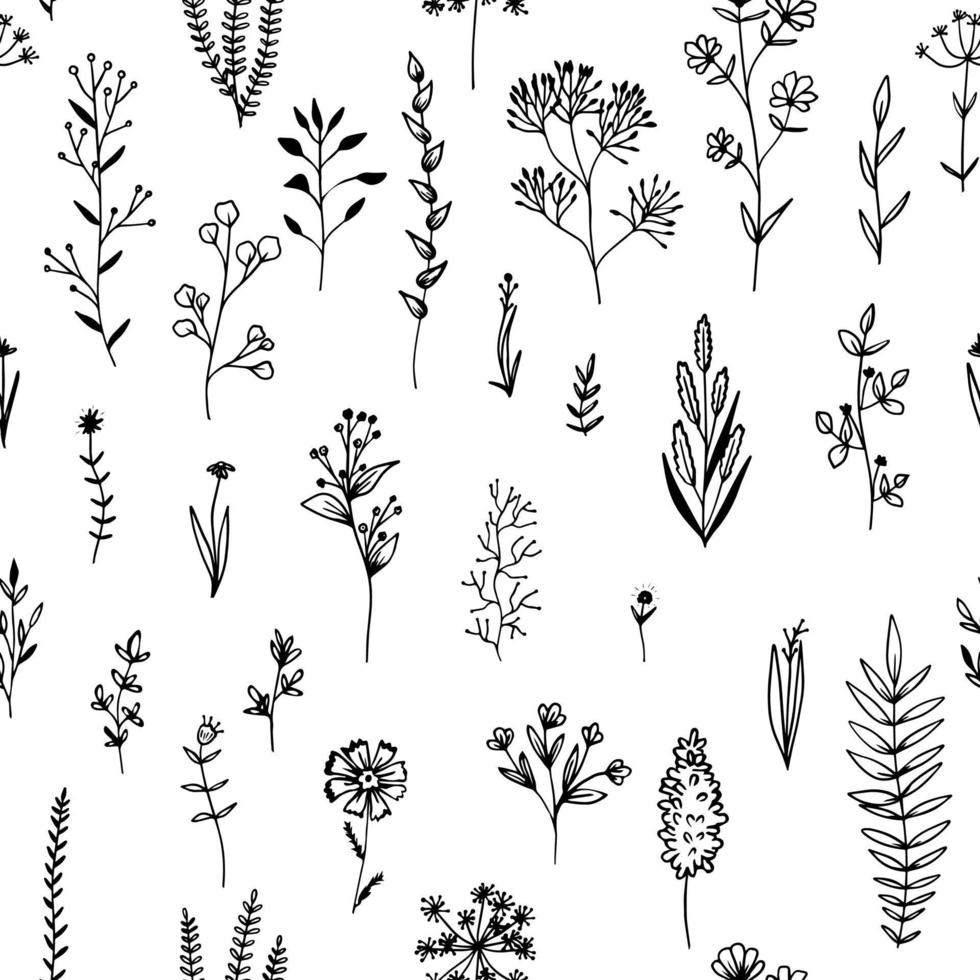 Seamless pattern flowers and herb black. Vector drawing.