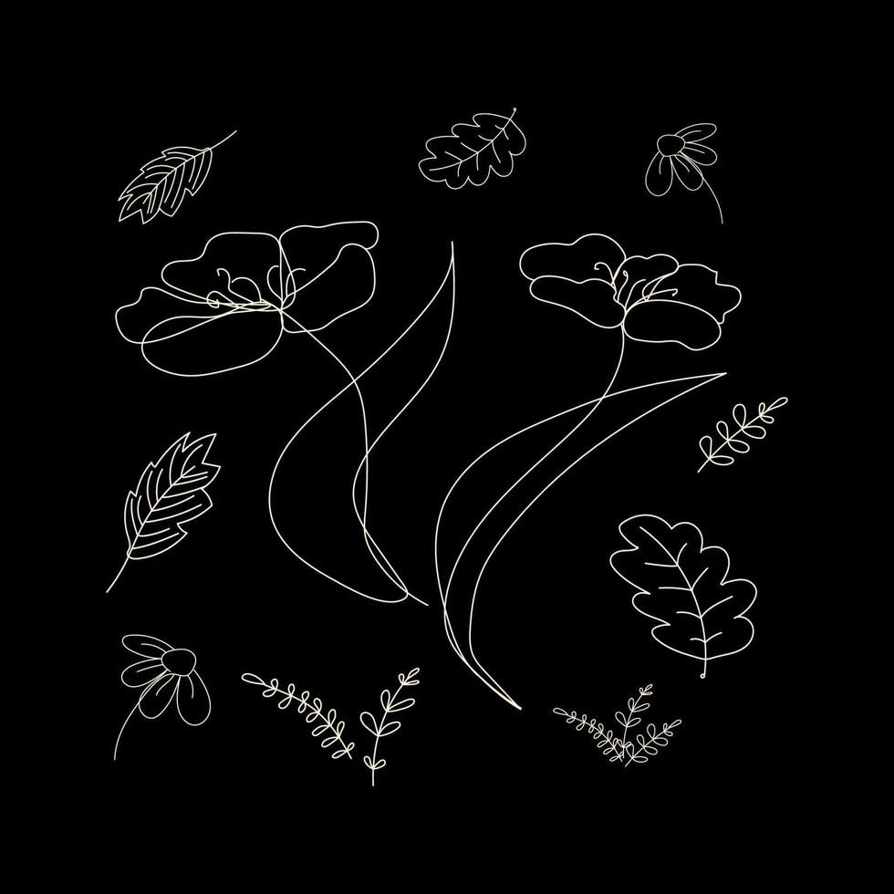 ilustración vectorial de dibujos lineales de flores abstractas de amapola, manzanilla, hojas de roble, álamos y ramitas de hierbas. diseño minimalista moderno dibujado a mano para logotipo creativo, icono o emblema sobre fondo negro. vector