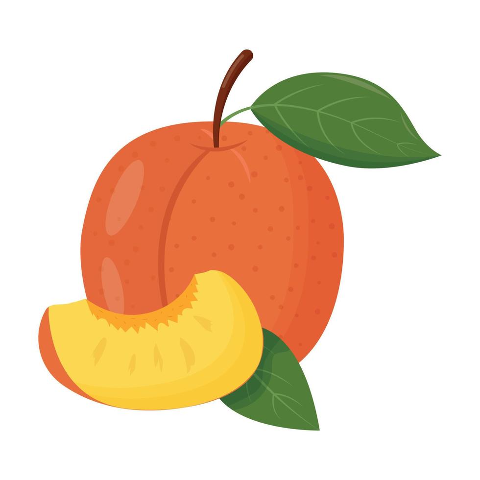 Whole orange peach with green leaf isolated on white background. Flat vector illustration.