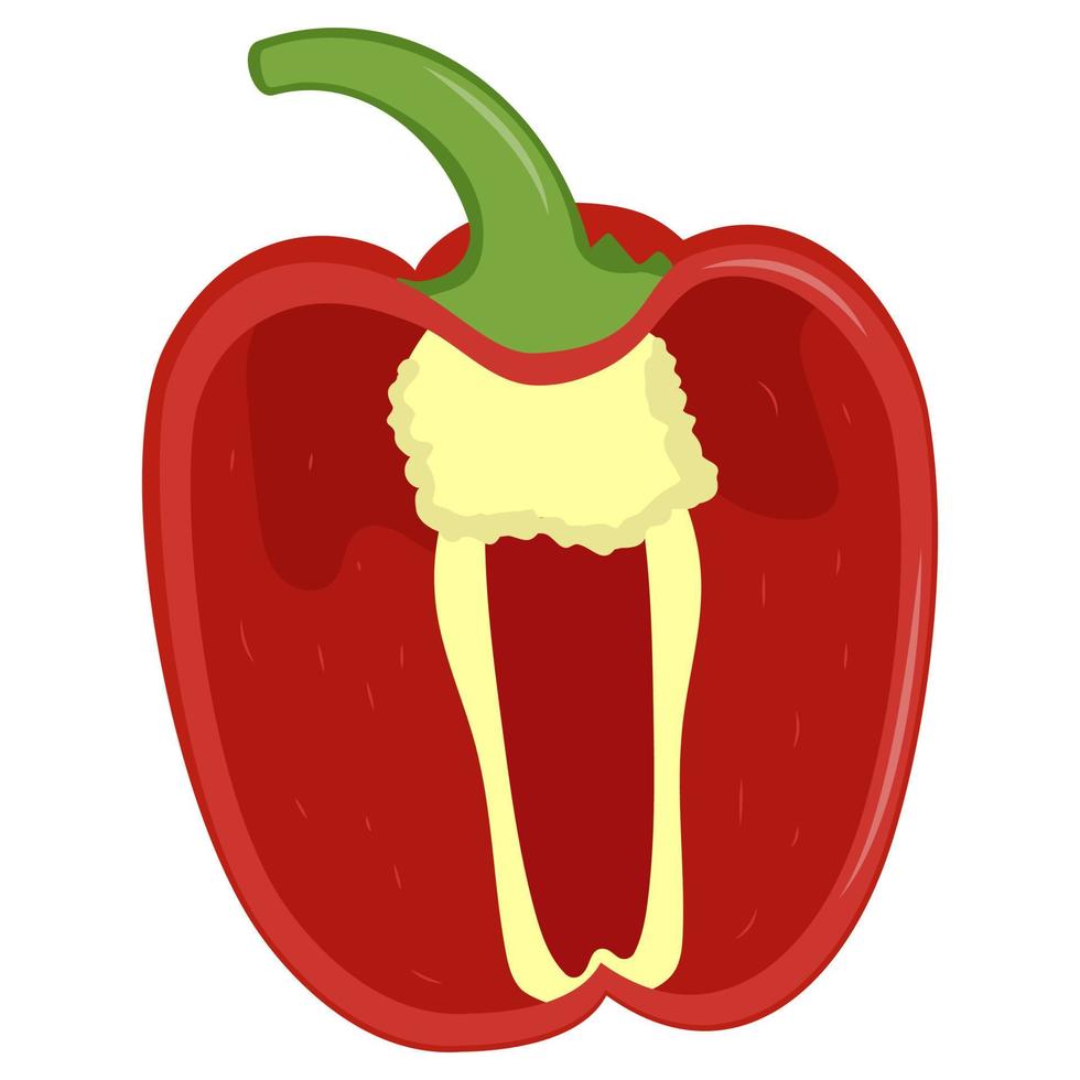 la mitad de lindo pimiento rojo aislado sobre fondo blanco. ilustración vectorial plana. vector