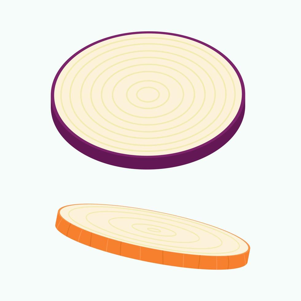 A piece of onion isolated on background. Flat vector illustration.