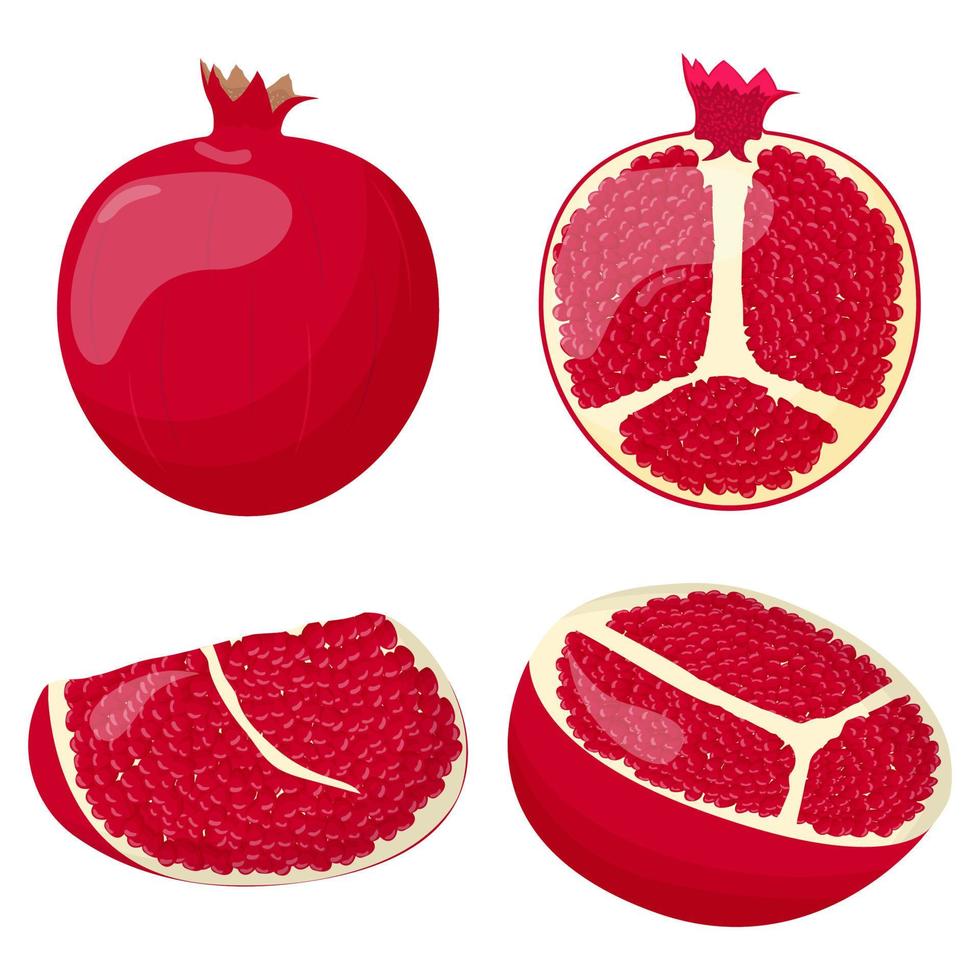 Set of pomegranate isolated on white background. Flat vector illustration.