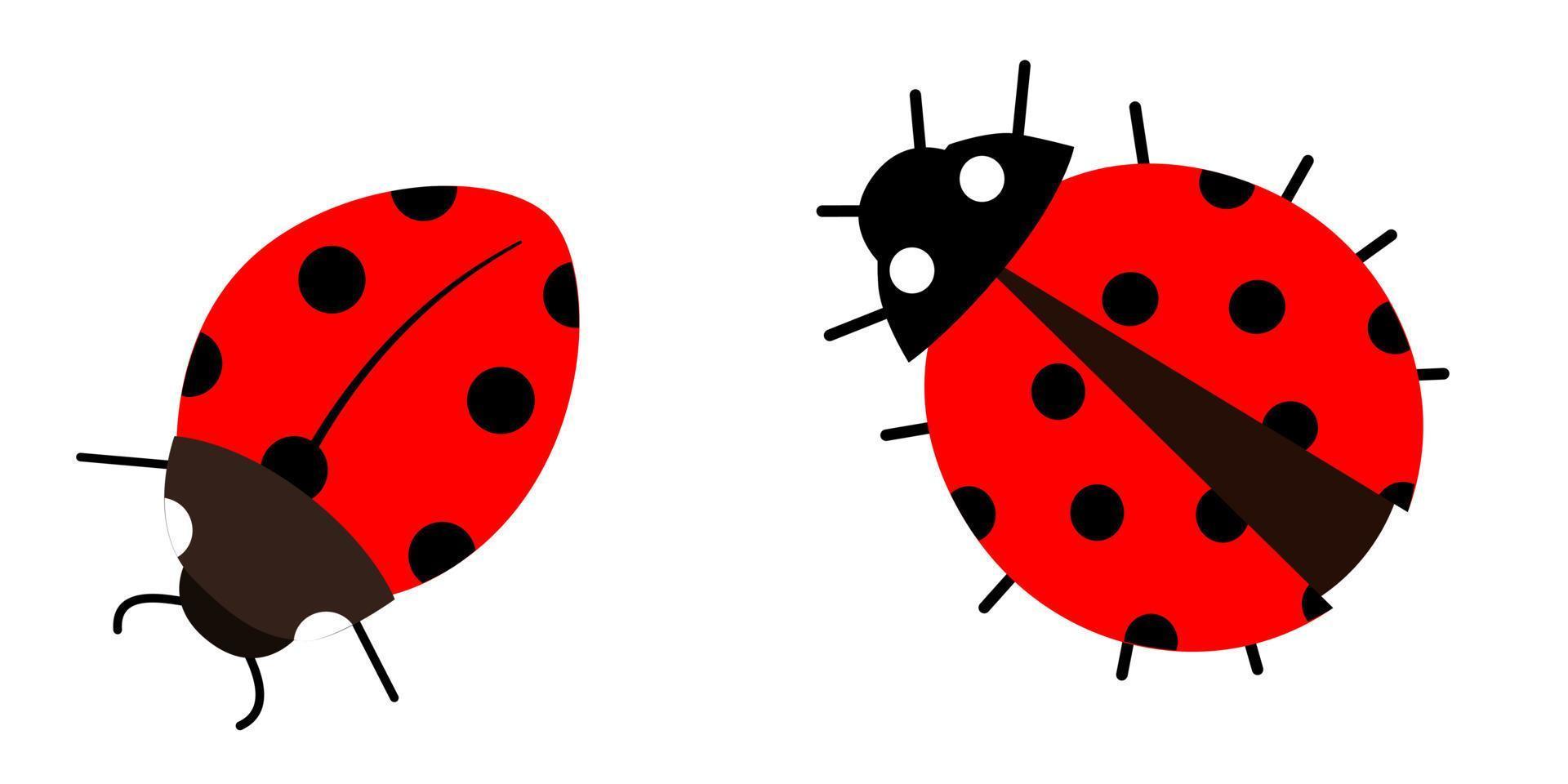 set of vector illustrations of ladybugs in a flat style