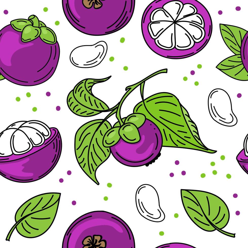 A seamless pattern of colorful mangosteen fruit, pulp, and leaves, hand-drawn sketches with doodle elements. Exotic Fruit. Thailand. Vector illustration