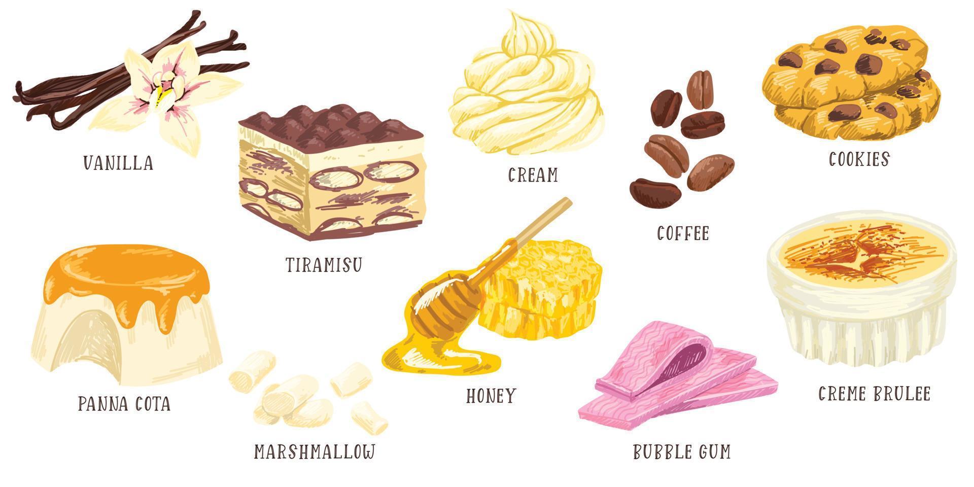Set of confectionery flavors, vanilla tiramisu cream vector