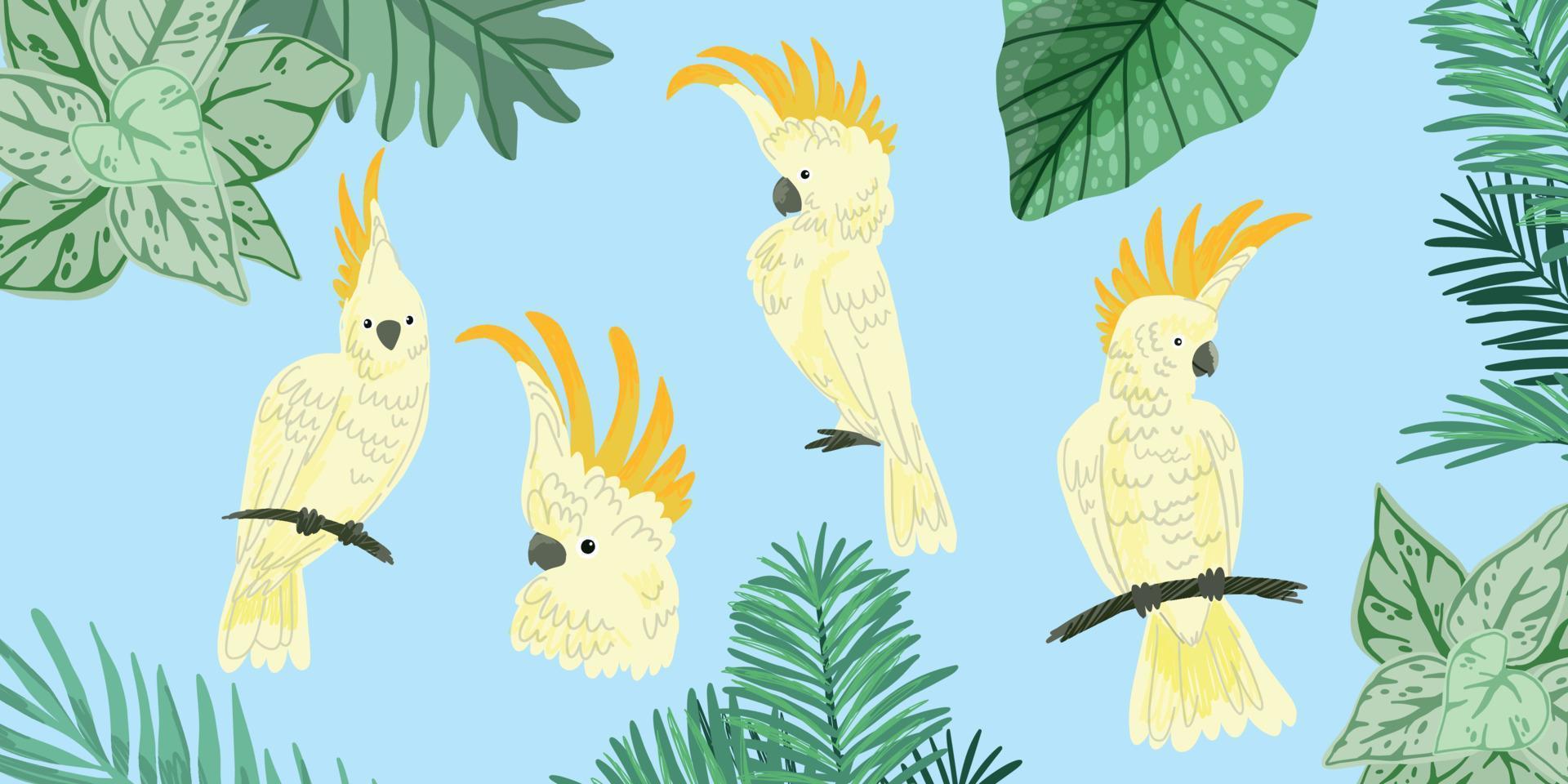 Four cute kakadu, tropical birds, hand drawn vector