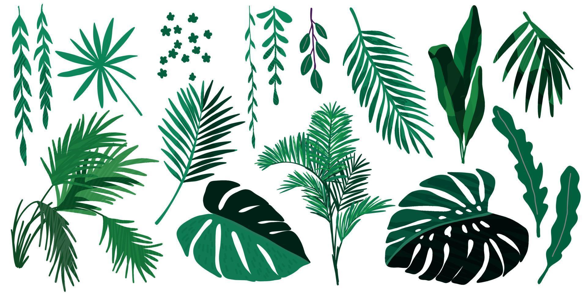 Tropical leaves collection, hand drawn vector set