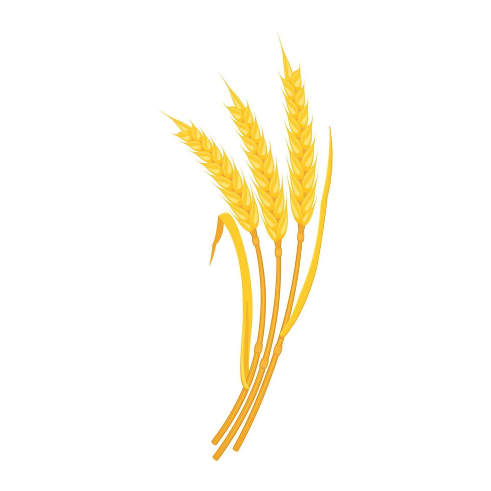 Ears wheat are yellow with curved arc-shaped leaves. Stems of cereal plants, design element. vector