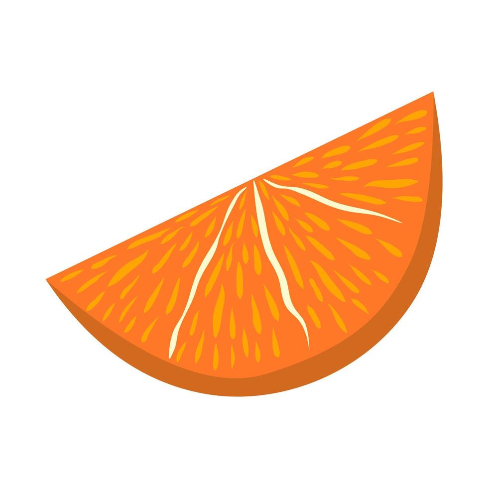 Orange colorful slice flat vector isolated illustration