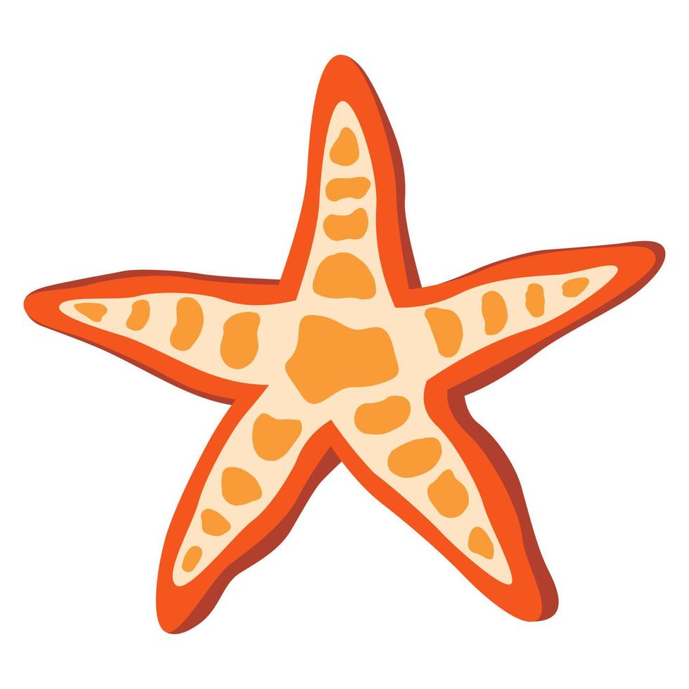 Orange sea starfish flat vector isolated illustration