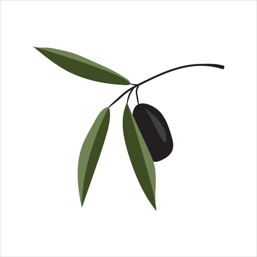 vector illustration of olive branch