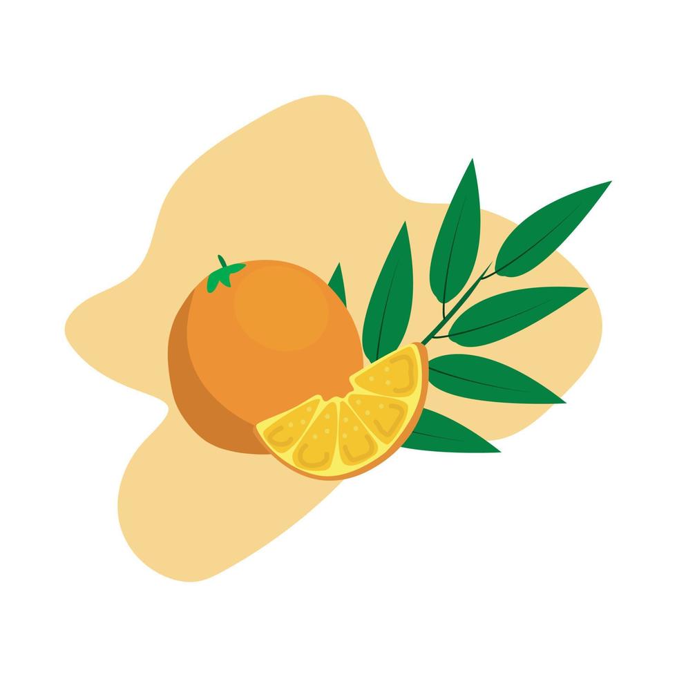 vector illustration of Orange