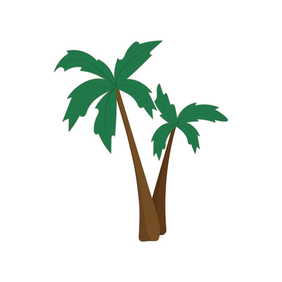 ilustración vectorial palmera vector