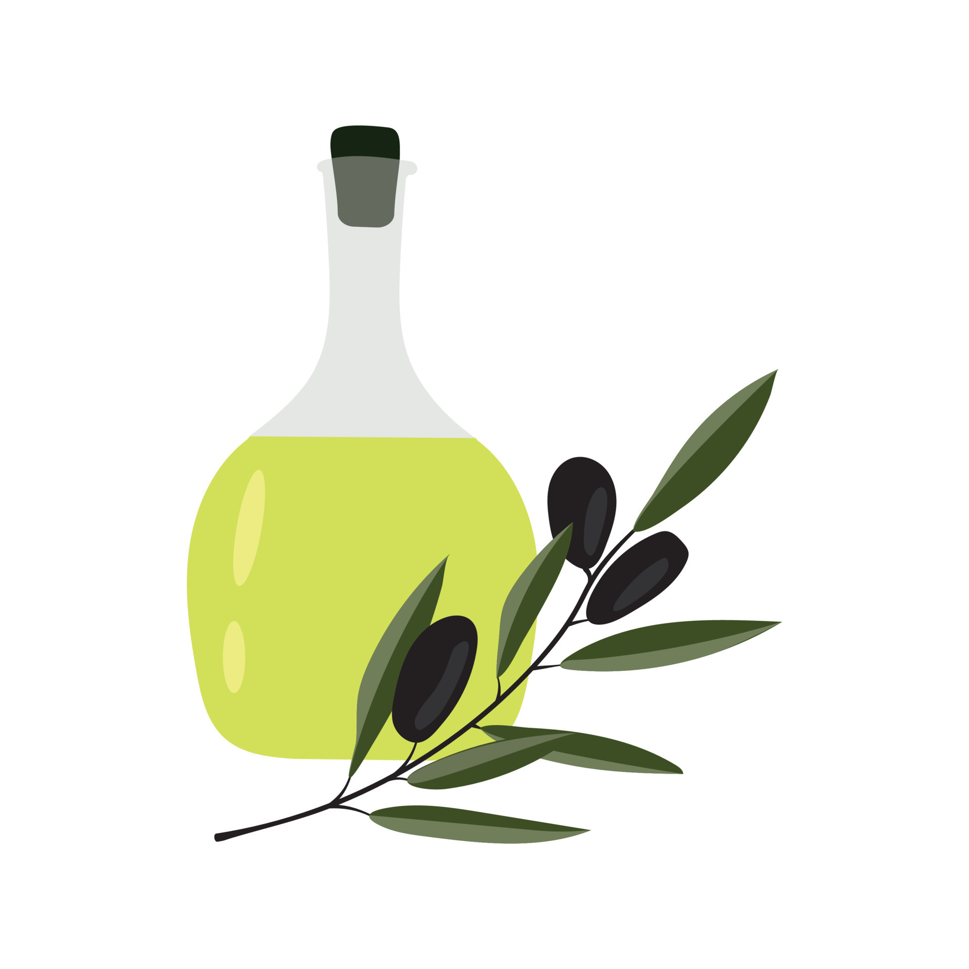 vector illustration of olive oil 7523532 Vector Art at Vecteezy