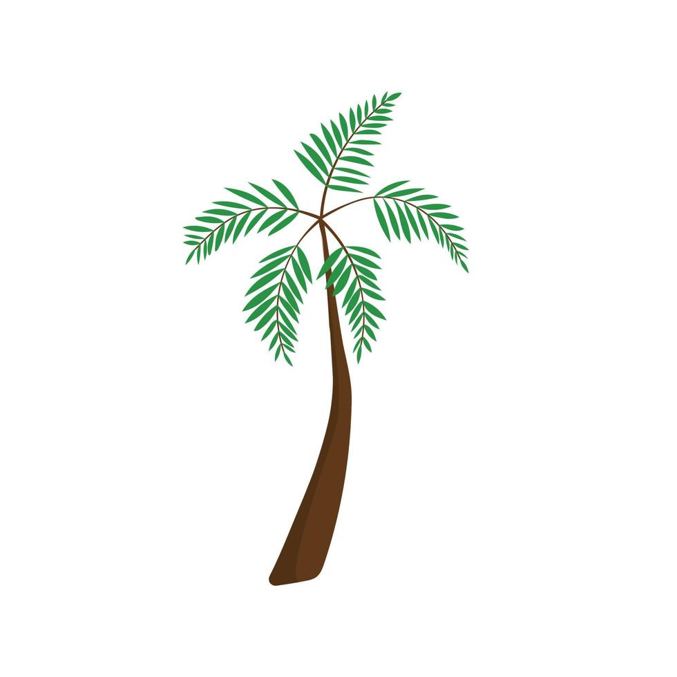 Vector illustration palm tree
