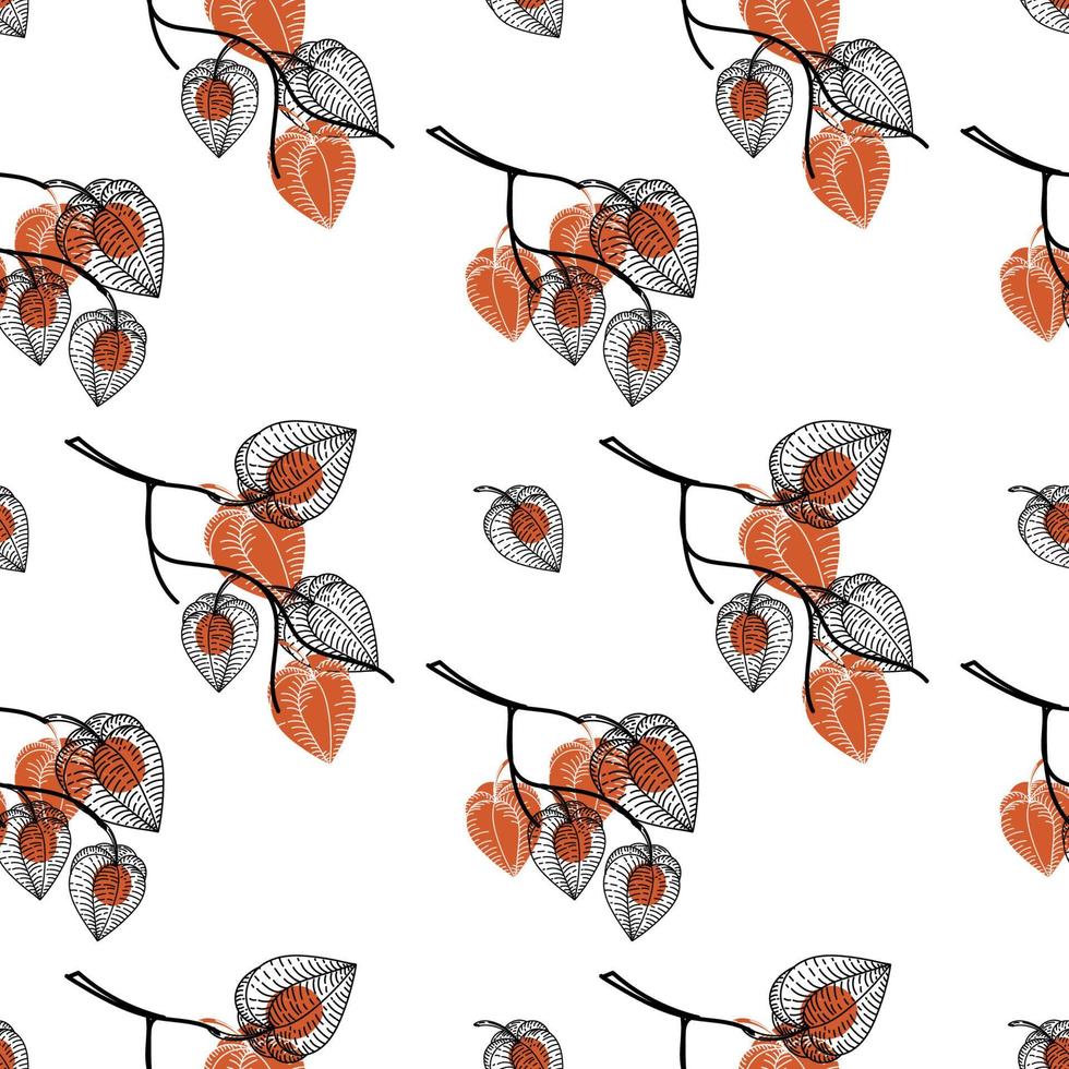 Seamless pattern with dried flowers of physalis, drawn doodle elements in sketch style. Physalis. Phyzalis lace on white background vector
