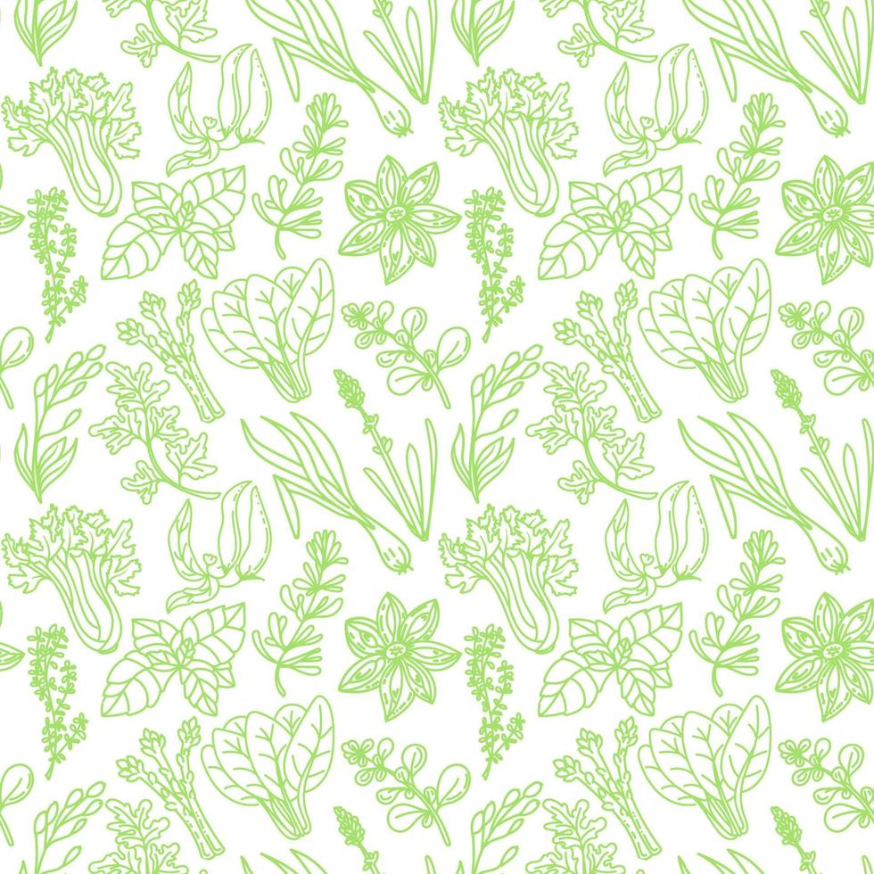 Seamless herbal pattern, drawn element in doodle style. Green silhouettes of herbs and spices on a white background chili, vanilla, barberry, rosemary, bay leaf, etc. Pattern in a fashionable linear. vector