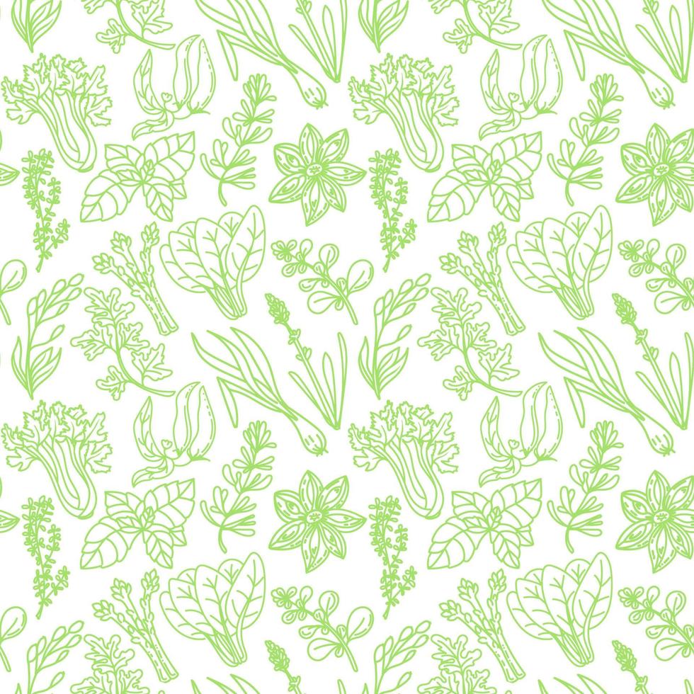 Seamless herbal pattern, drawn element in doodle style. Green silhouettes of herbs and spices on a white background chili, vanilla, barberry, rosemary, bay leaf, etc. Pattern in a fashionable linear. vector