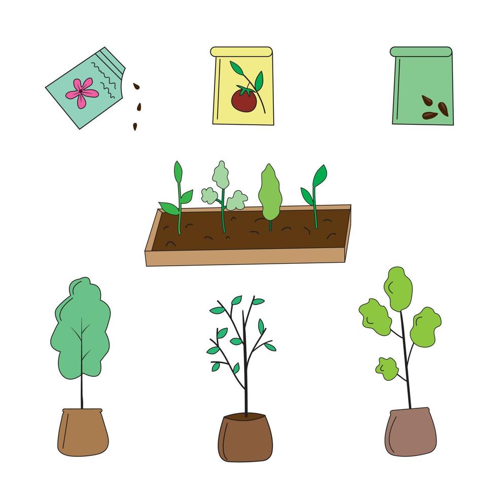 conjunto de plántulas de plantas y árboles vector