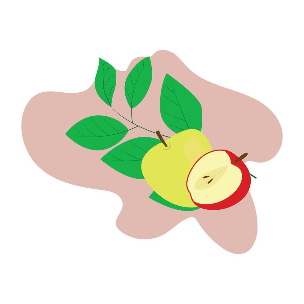 red and yellow apple vector
