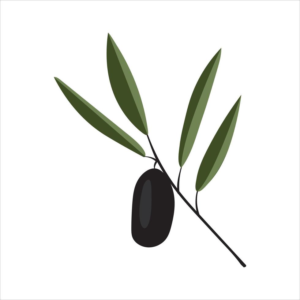 vector illustration of olive branch