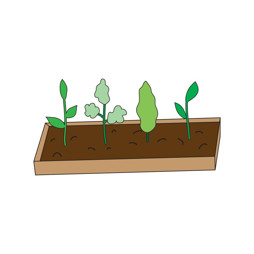 plant seedlings in a box vector