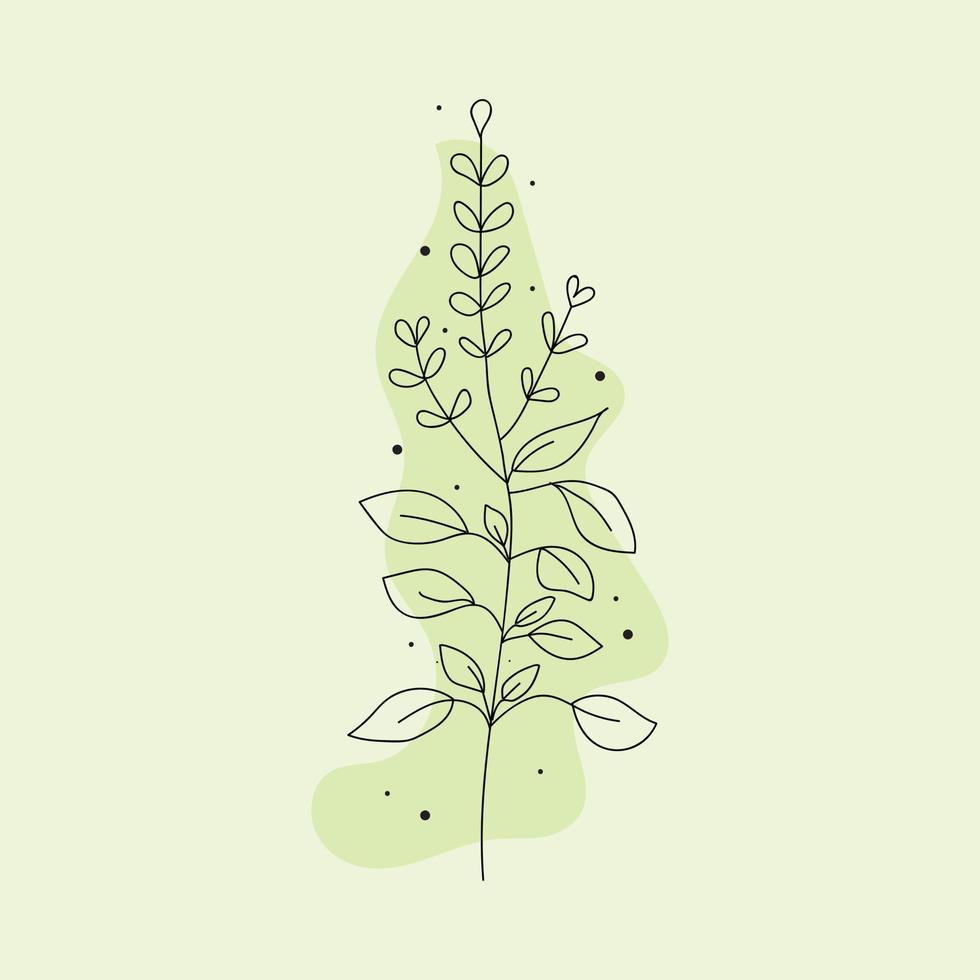 vector illustration of basil plant