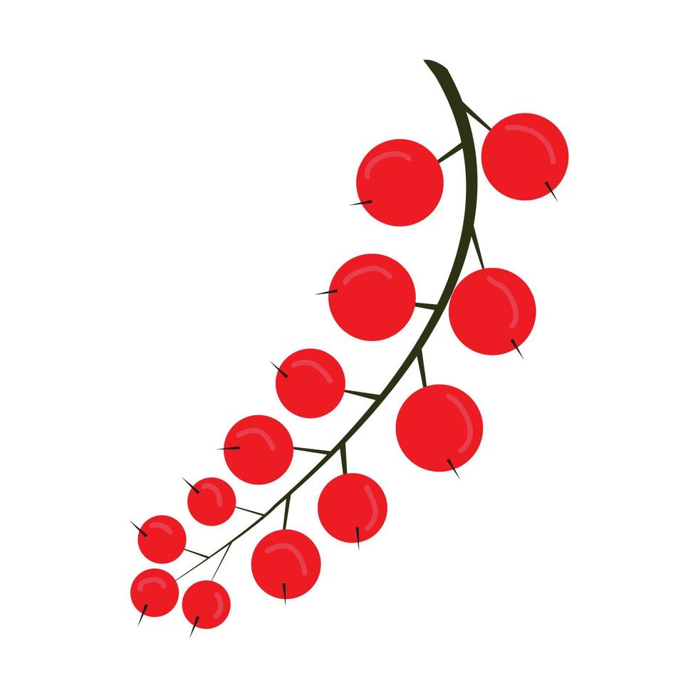 vector illustration of currant