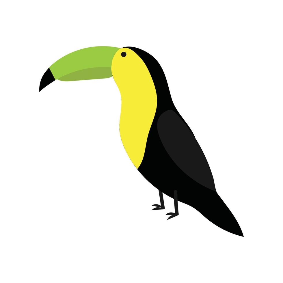 Vector illustration toucan