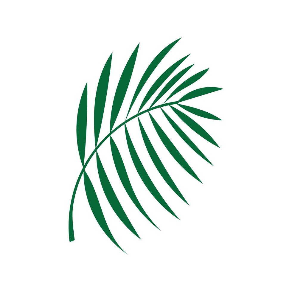 tropical leaves doodle vector