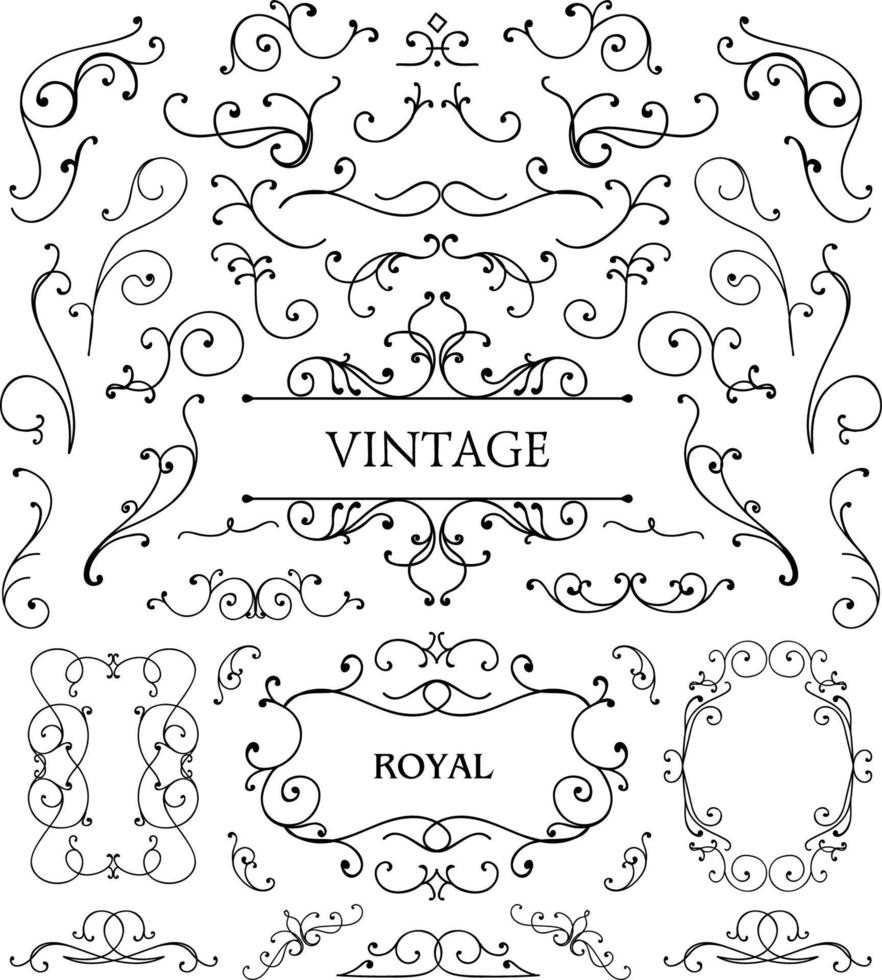 conjunto de elementos de diseño floral caligráfico y decoración de página, colección vintage de remolinos. ilustración vectorial vector