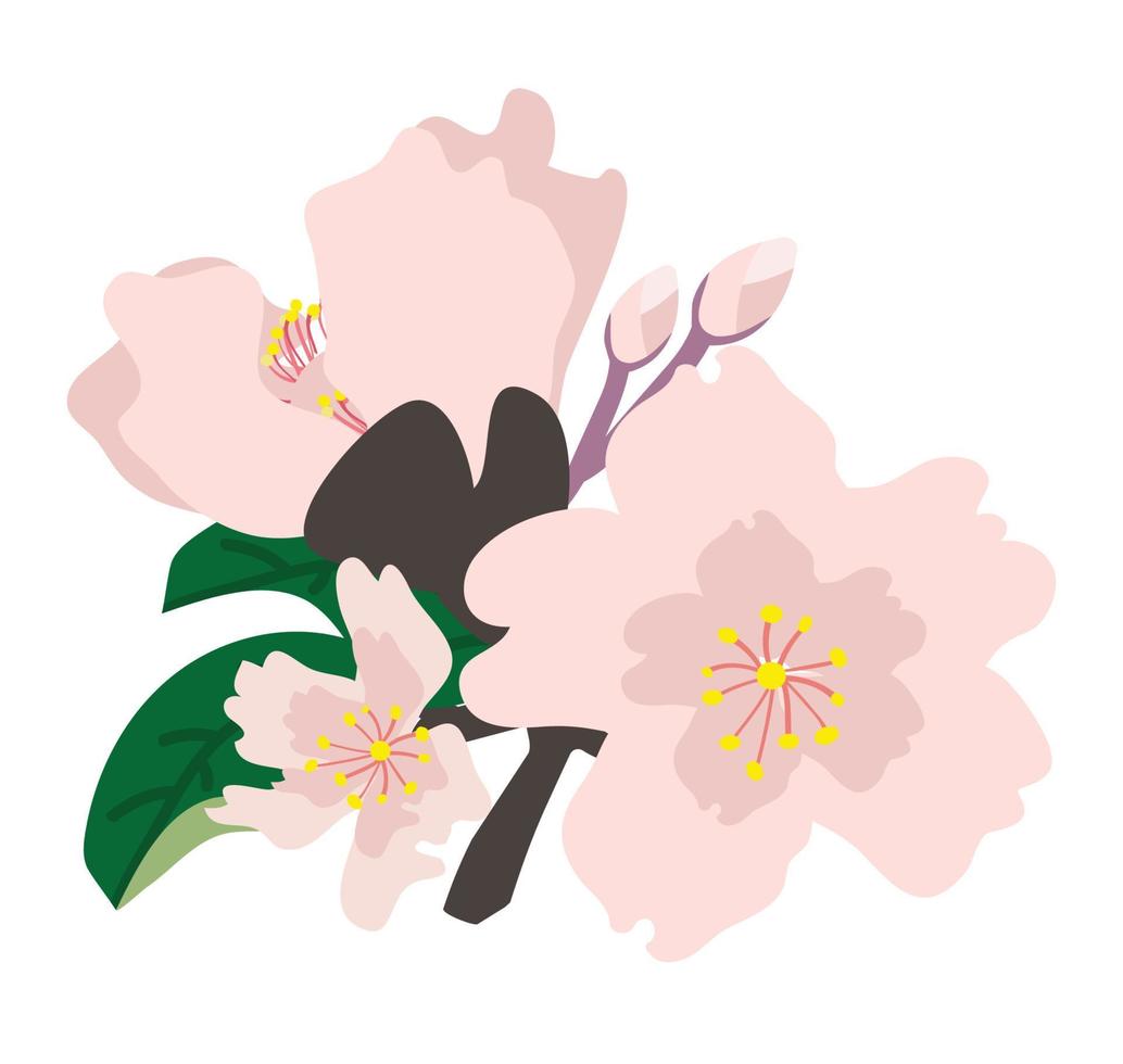 flores de sakura aisladas sobre fondo blanco vector